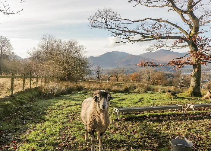 Nyaraló Clarence House Dalton in Furness